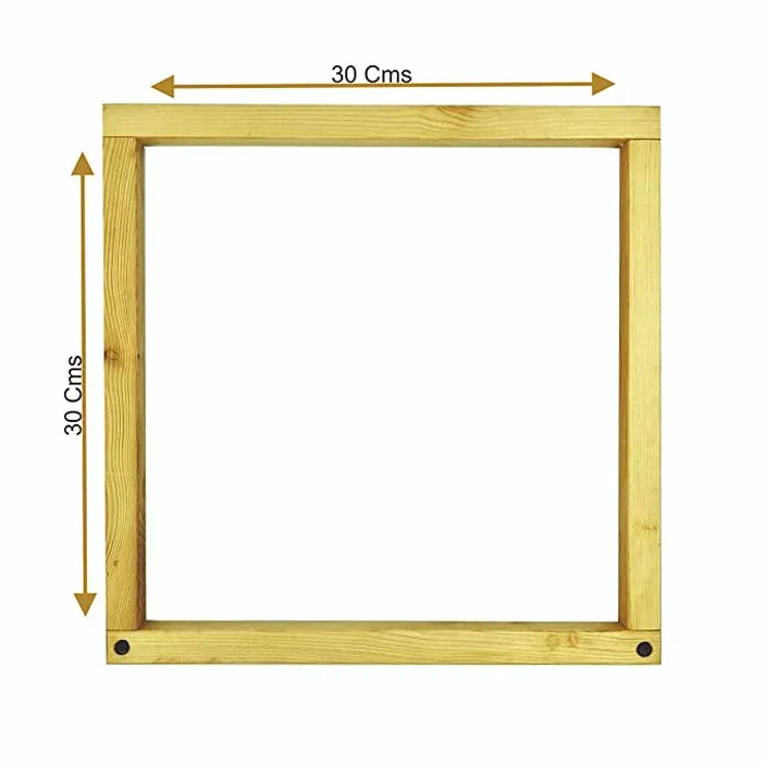 Buckle Toddler Dressing Frames